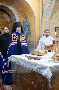 26.01.18 Сорокосвятский 002